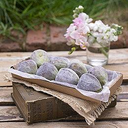 欢迎进入魔法世界 《魔咒之地》上市宣传片公布